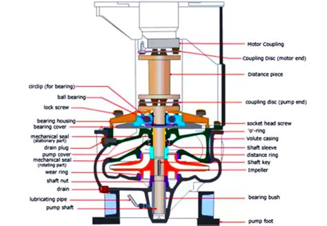 Assembling And Dissembling Of Vertical Centrifugal Pump Overhaul Marine Engineers Knowledge