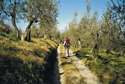 Hiking Trail Italy Toscana Oranginas