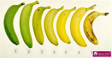 Do You Know Which Of These Seven Bananas Is The Healthiest