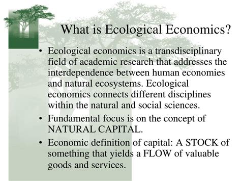 Ppt Sustainable Economics Powerpoint Presentation Free Download Id