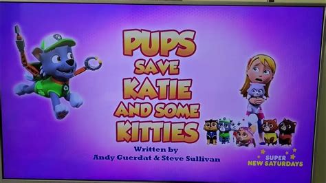 new paw patrol 2013 and 2023 s9 pups saves katie and some kittens youtube