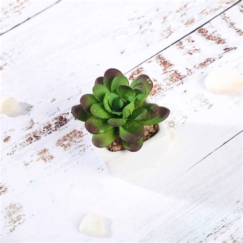 Set Of 3 Assorted Fake Succulents In Pot 3 Assorted Mini