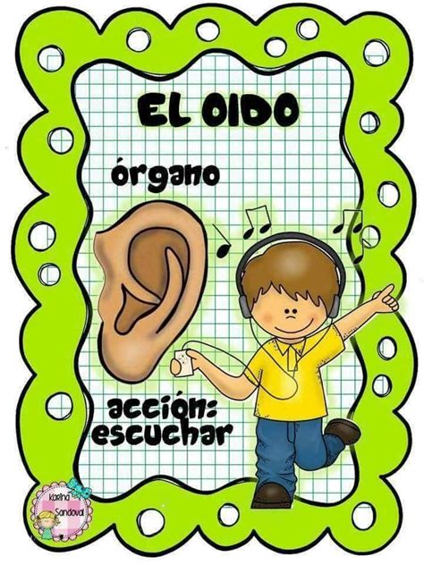 Pin By Carmen Sanchez On Los Cinco Sentidos Dramatic Play Preschool