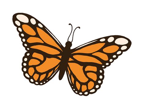 Free Insect Clipart Pictures Clipartix