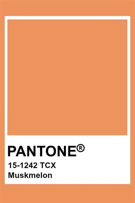 Pantone Tpg Sheet Muskmelon Pantone Canada Polycolors The Best Porn Website