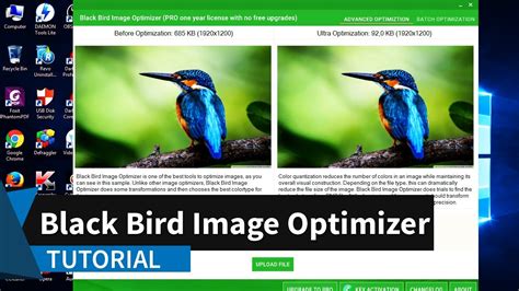 Black Bird Image Optimizer Công Cụ Tối Ưu Hóa Hình Ảnh Mạnh Mẽ Cho Dân