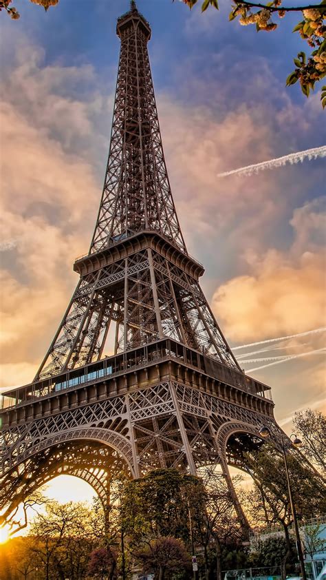 Francia París Torre Eiffel Paisaje Urbano Flor De Las Flores