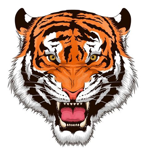 Cabeza de rugido del tigre ilustración del vector Ilustración de