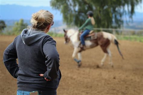 Western Horse Riding Lessons