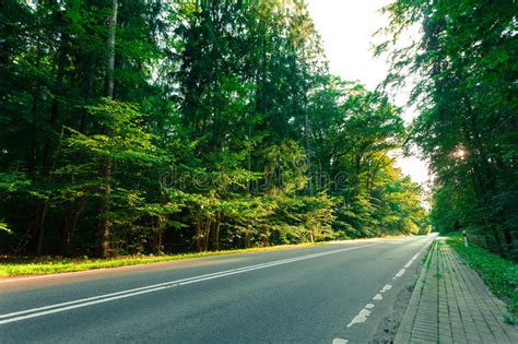Asphalt Road Through The Green Forest Stock Image Image Of Roadway