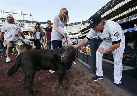 Hot Clicks Nikki Walton Dogs At The Ballpark Sports Illustrated