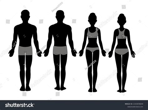 male female body chart silhouette front stock vector royalty free 2143476659 shutterstock