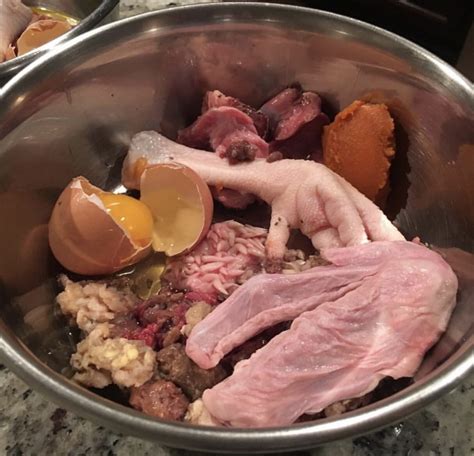 If you decide to prepare the dog's food, you will have to include some of the following ingredients: Can Dogs Eat Raw Eggs? Raw Eggs for Dogs | ThatMutt.com: A ...