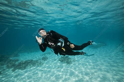 Scuba Diving French Polynesia Stock Image C048 8380 Science