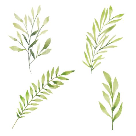 Hand Drawn Greenery Vector Art Icons And Graphics For Free Download