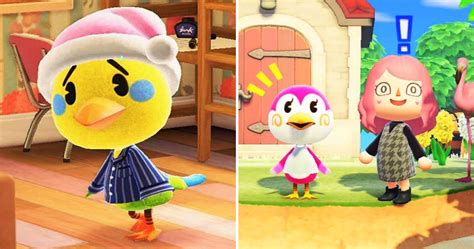 Animal Crossing The 10 Best Birds Villagers Ranked Thegamer