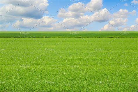 Green Field And Blue Sky Grass In F High Quality Stock Photos
