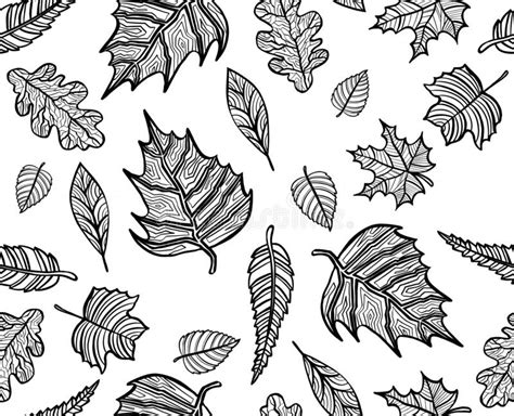 Hand Drawn Birch Leaves Black And White Vector Illustration Isolated