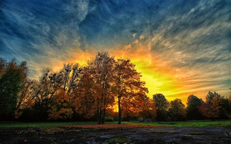 Free Download Autumn Sunset Colorful Trees 1280 X 800 1280x800 For