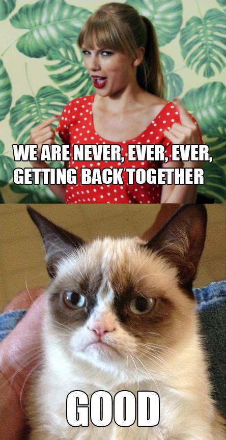 Erika Kaisersot Erikakaisersot Grumpy Cat Humor Cat Jokes Funny Pix