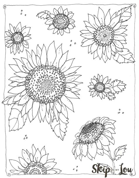 This coloring page is very interesting because it contains kid's favorite cartoon charterer pooh. Kansas Day Sunflower Coloring Page | Skip To My Lou