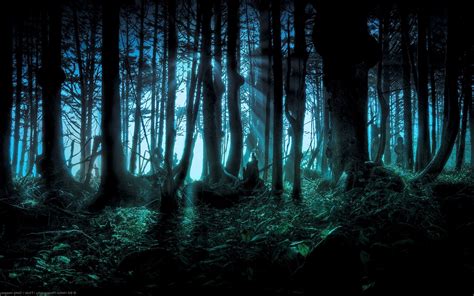 Hintergrundbilder Sonnenlicht Wald Nacht Natur Versteckt Licht