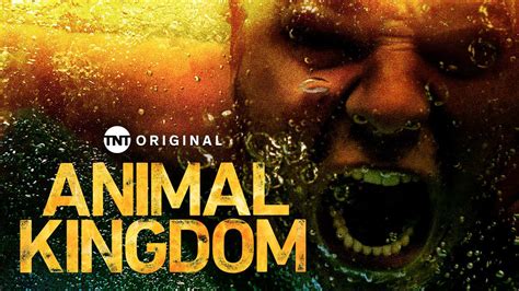 Animal Kingdom | TNTdrama.com
