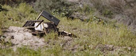 When the barking of their beloved dog todd leads to an eviction notice from their tiny la apartment, john and molly chester make a. The Biggest Little Farm (2018) YIFY - Download Movie ...