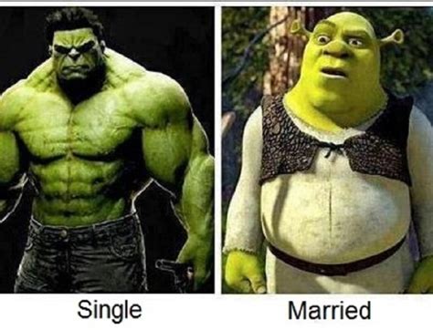 15 Hilarious Pics For Anyone Who Loves Shrek The Best Of The Best Guff