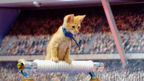 The Kitten Summer Games Are The Only Kind Of Olympics A Cat Lover