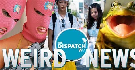 Sex Burglars Virgin Epidemics And Puking New Ants The Dispatch 36 Videos On