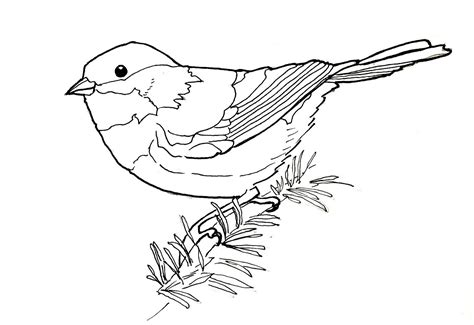 Can be converted into food points through your hoard to feed your dragons; Birdly Drawn: Chestnut-backed Chickadee: Line Drawing