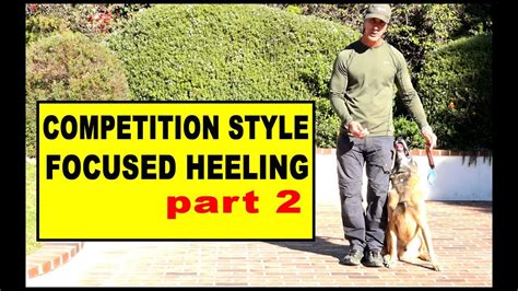 Competition Focused Heeling Part 2 Dog Training Video Youtube