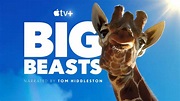 How to watch 'Big Beasts': Join Tom Hiddleston on a tour of the world's ...
