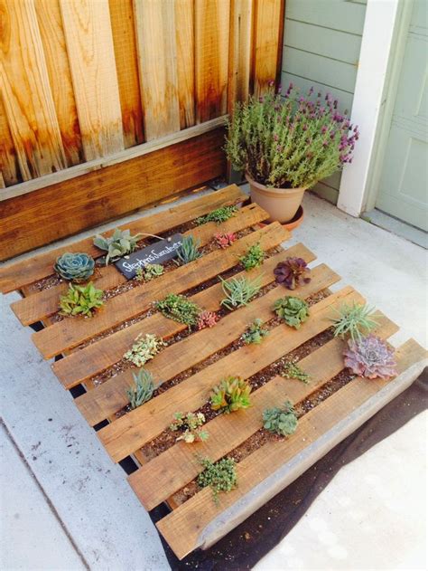 A planter like this is ideal for small outdoor spaces, like balconies and used for transporting bulk or heavy goods, timber pallets often end up in landfill or discarded on the side of the road if not returned or recycled correctly. PhotozzOfLife: Succulent and plants vertical pallet garden ...