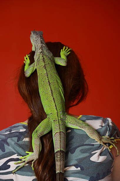 90 Girl And Iguana Stock Photos Pictures And Royalty Free Images Istock