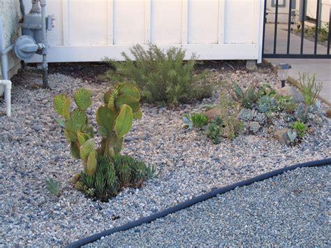 Water Wise Front Yard Plantings Low Water Landscaping Water Wise