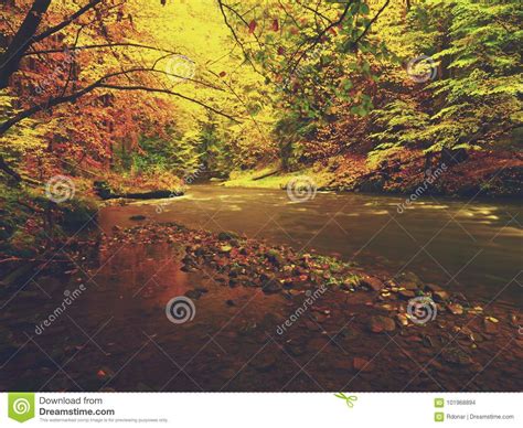 View Into Autumn Mountain River With Blurred Waves Fresh Green Mossy