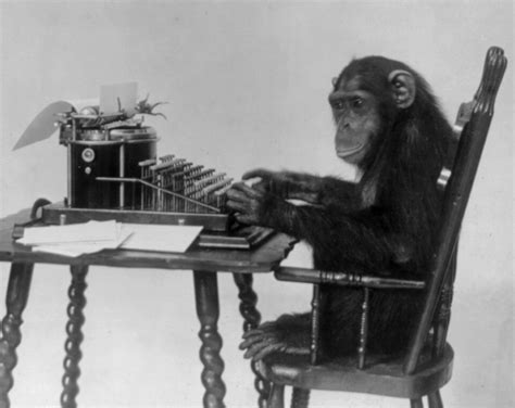 Schrodingers Typing Monkeys Episode 1