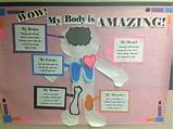 Images of School Health Bulletin Board Ideas