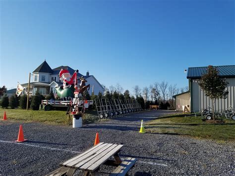 Blue Ridge Christmas Tree Farm