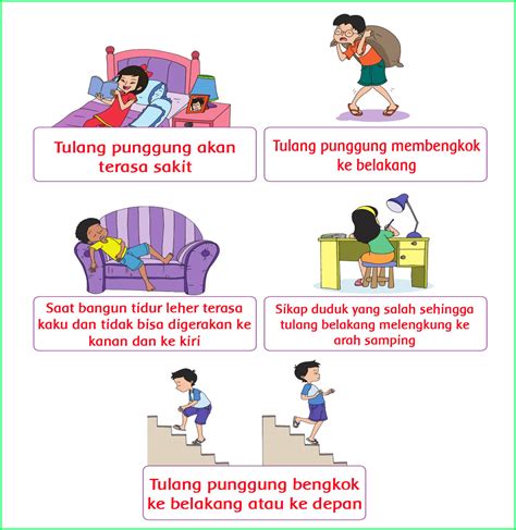 Kunci jawaban tema 6 kelas 5 halaman 61. 32+ Terbaru Gambar Cover Buku Tema Otot Manusia, Cover Buku