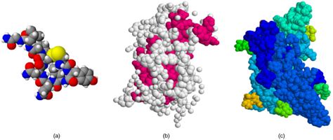 Types Of Hormones Biology I