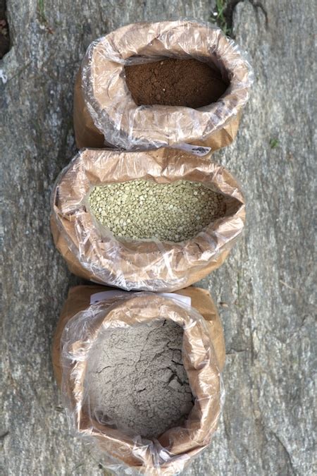Black tea is acidic and green tea is acidic. Fertilizing Blueberries With Horse Manure | Cromalinsupport