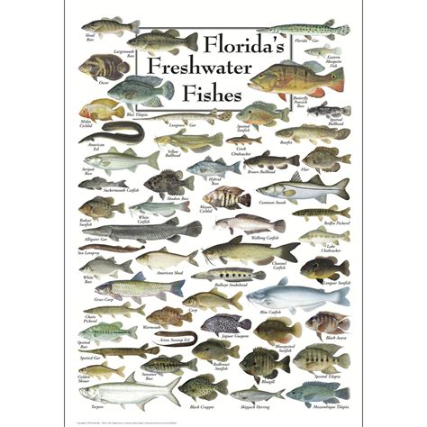 Best Places To Fish In Florida Outdoor Junction Us