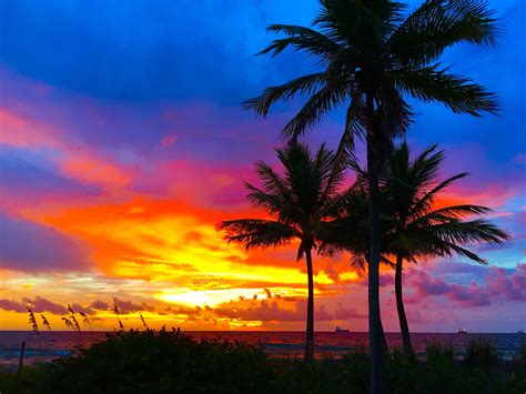 Pin By Tracy Wilson On Beach Sunrise Sunset And Palm Trees Sunrise Beach Scenic Sunrise Sunset