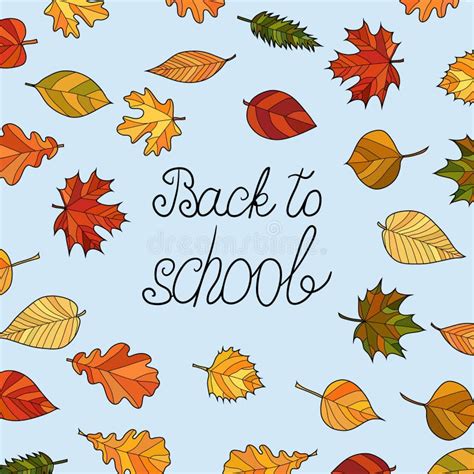 Vector Doodle Autumn Leaves Background Back To School Stock