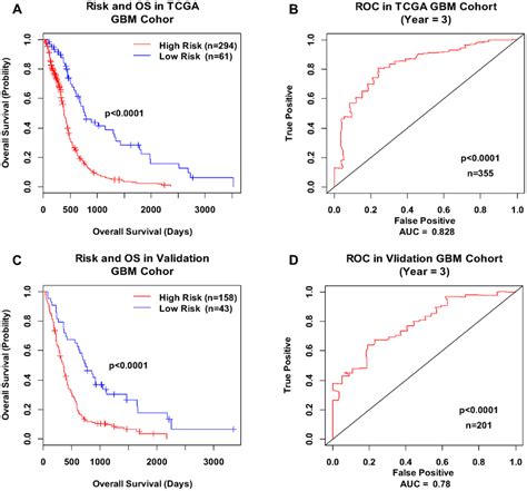 Kaplan Meier Curves And Roc Curves For The Integrated Rna Download