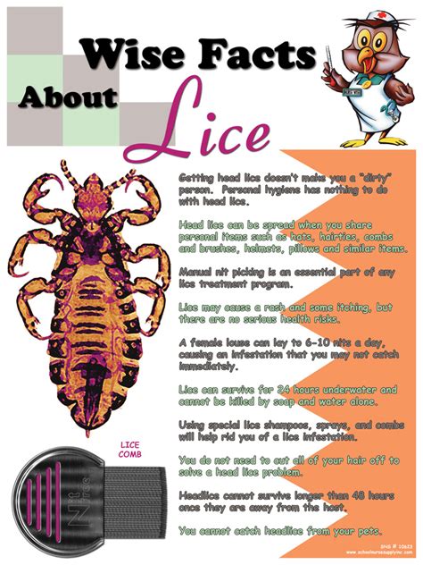 Sns Wise Facts About Lice Poster 10623