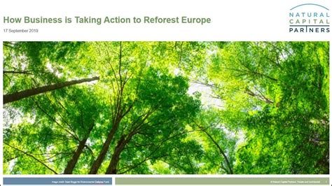 How Business Is Taking Action To Reforest Europe Youtube